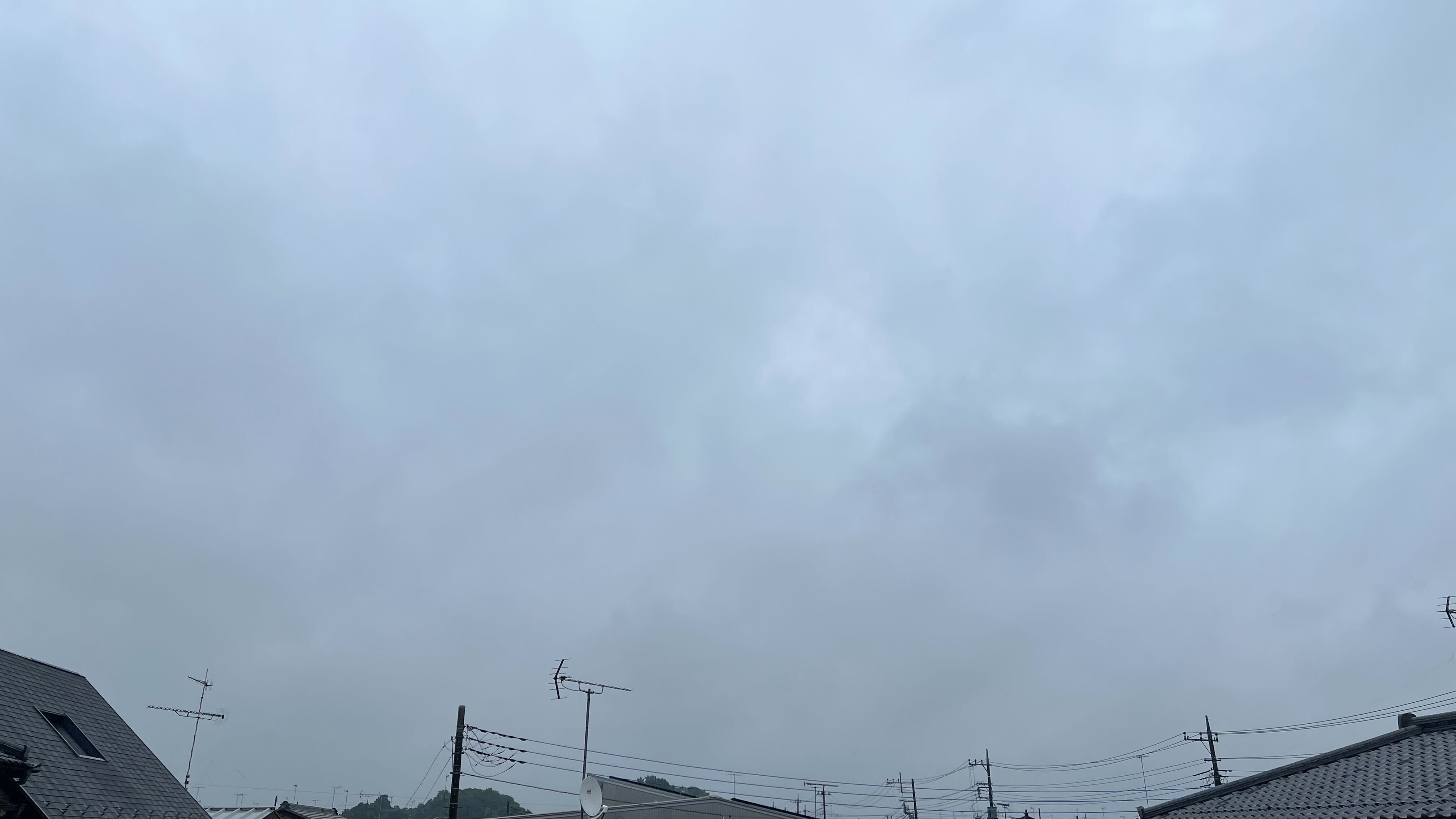 参考画像